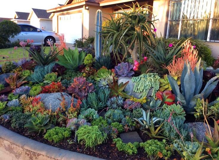 40+ Amazing Succulents Garden Decor Ideas For 2019