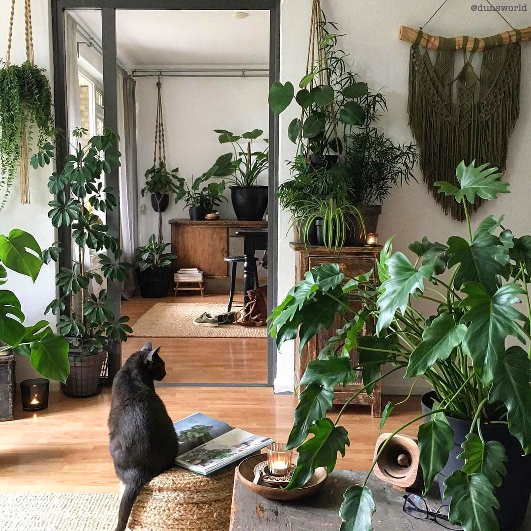 80 DIY Plant Stand Ideas To Fill Your Room With Greenery