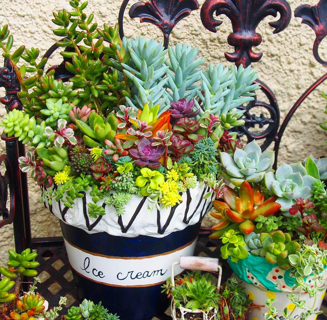 35 How To Make An Indoor Succulent Dish Garden