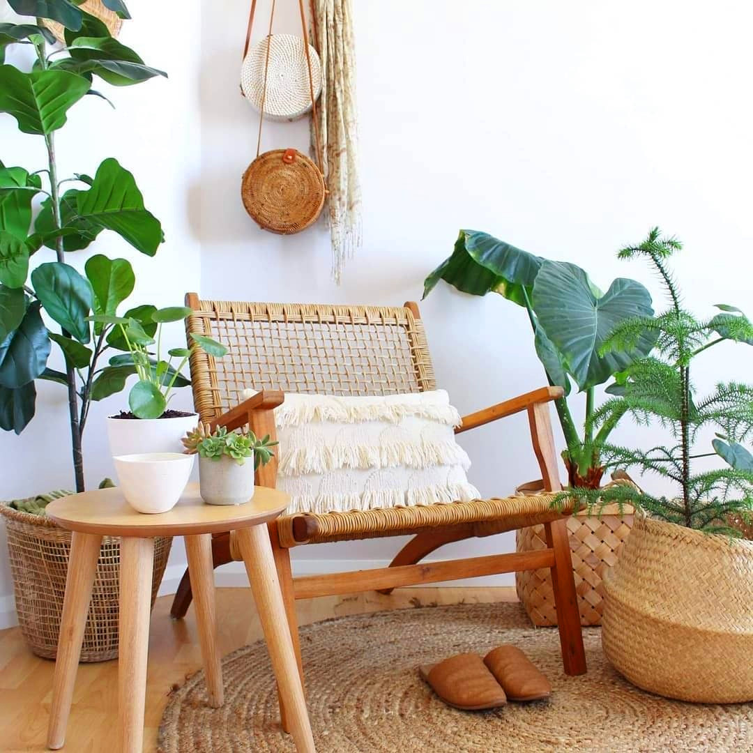 30+ Indoor Decorative Plants For Your Home