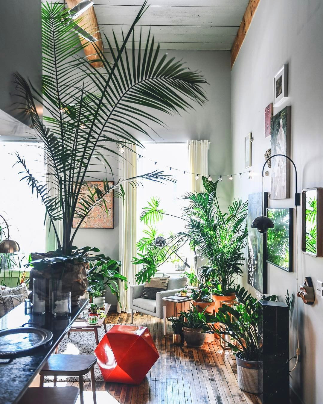 55 Marvelous Indoor Plants Design Ideas To Freshen Your Home