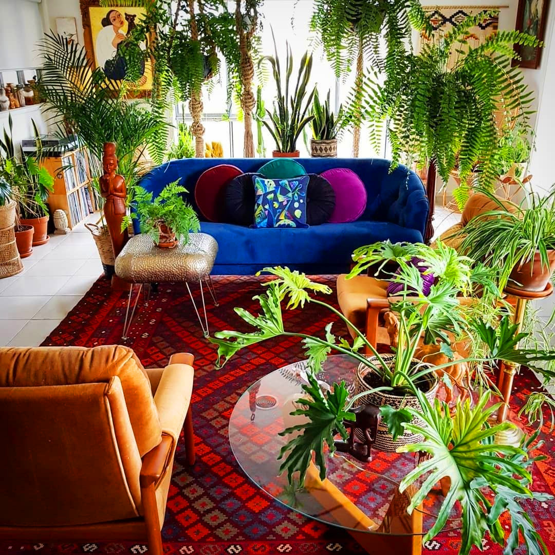 55 Marvelous Indoor Plants Design Ideas To Freshen Your Home