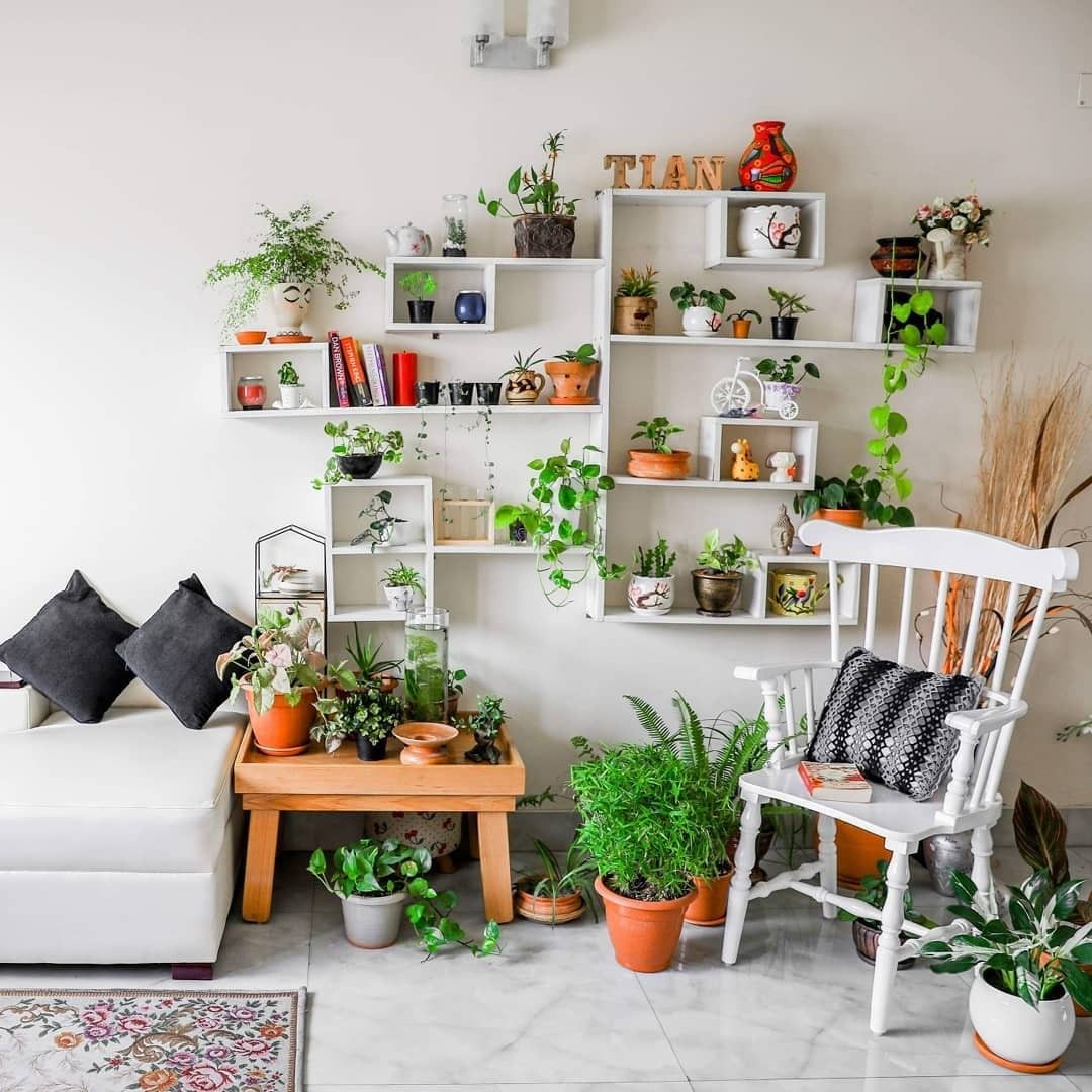65 Beautiful Indoor  Plants For Minimalist  Home